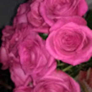 Meet your Posher, Mary ann